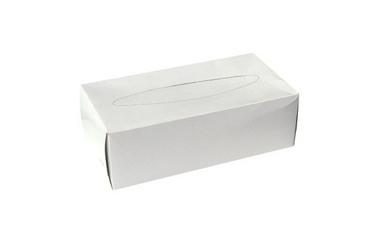 Pap.kosmet.kapesníky bílá krabička 100ks Pap.kosmet.kapesníky bílá krabička 100ks - Papírová hygiena Kosmetické kapesníčky box